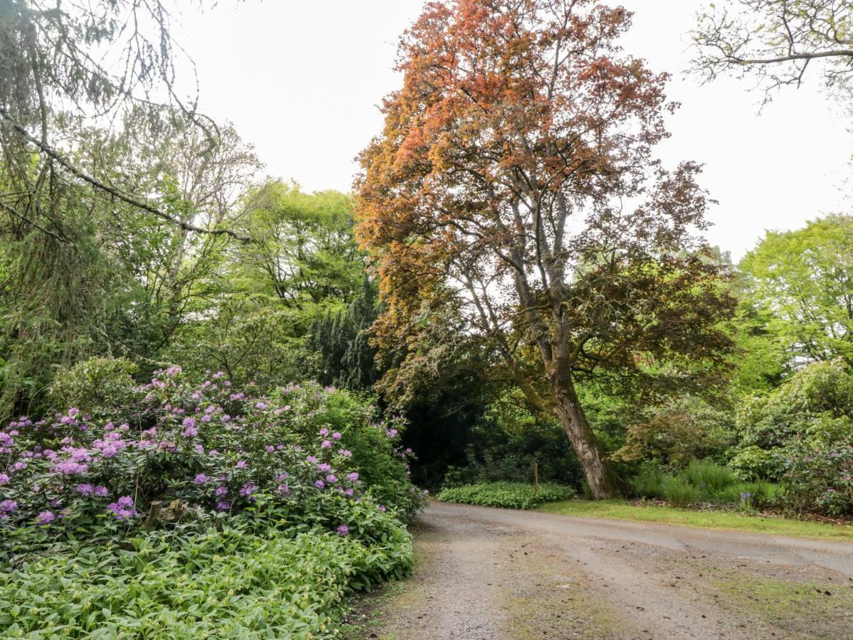 Maisie'S Cottage Dunblane Dış mekan fotoğraf